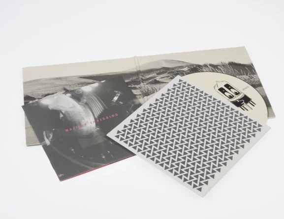 LP Style Sleeves