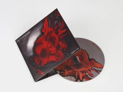 CDs in 4 Panel Lancing Packs - 1
