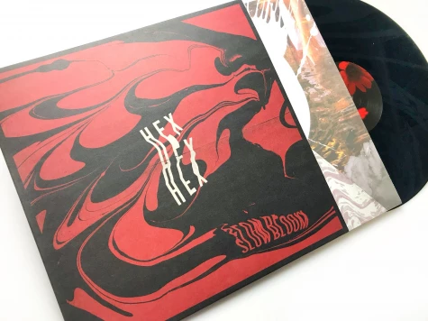 Acid Etched Vinyl in Outer Sleeves - 3