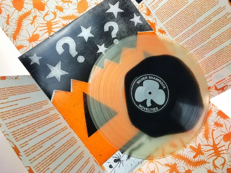 Colour in Colour Effect Vinyl - 4