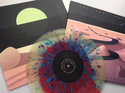 Vinyl in Outer Sleeves - 2